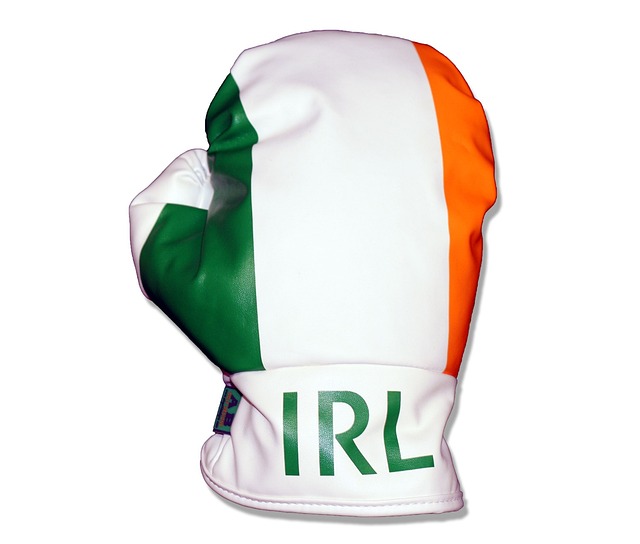boxing bag gloves