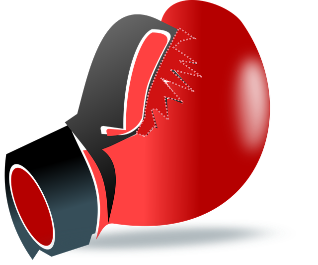 boxing bag gloves
