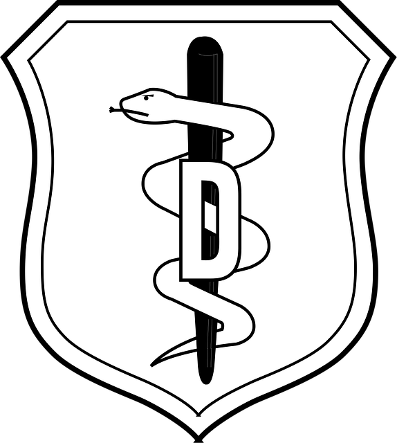 dental burs