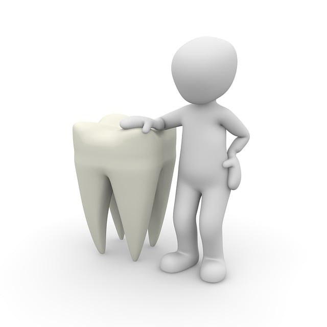 dental burs