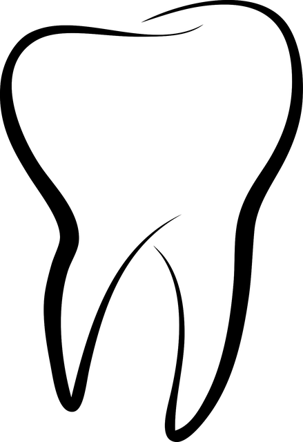 dental burs