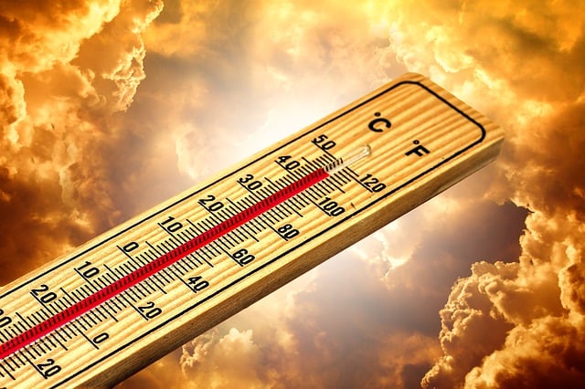 dog-thermometers-640x480-29003116.jpeg