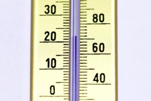 dog-thermometers-640x480-45019001.jpeg