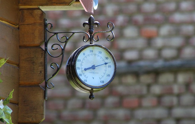 dog thermometers