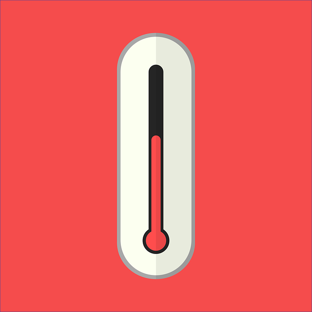 dog thermometers