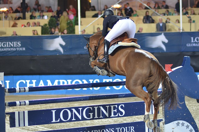 equestrian-equipment-640x480-49203342.jpeg