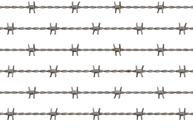 fencing foils