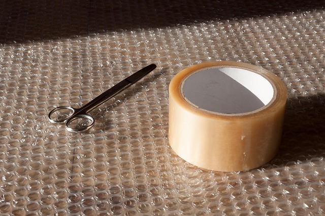 fencing foils