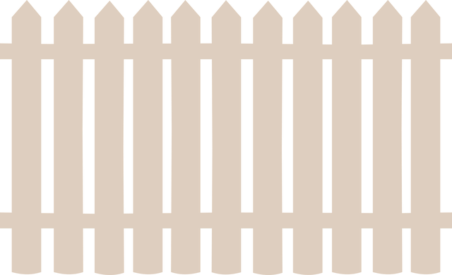 fencing foils