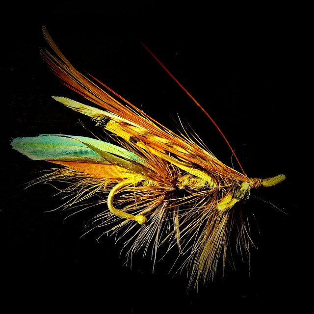 fly fishing flies
