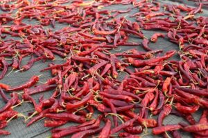 jalapenos-peppers-640x480-91021718.jpeg