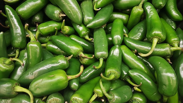 jalapenos peppers