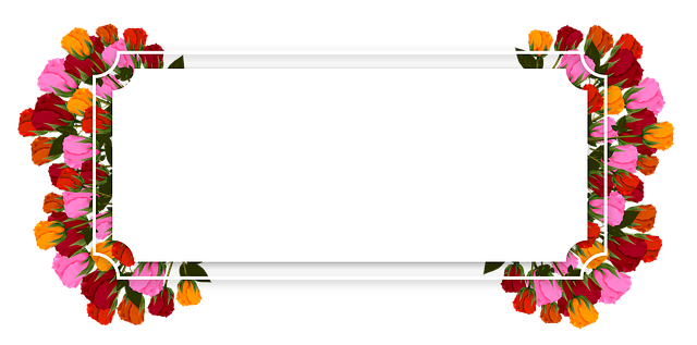 license plate frames