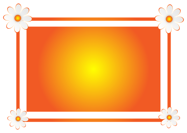 license plate frames