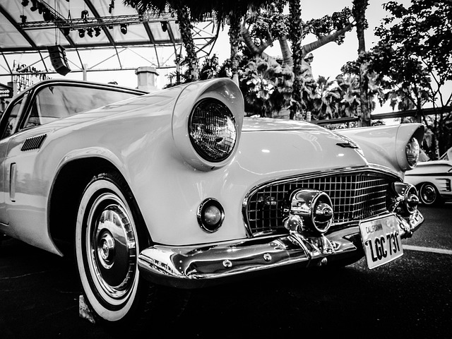 license plate frames