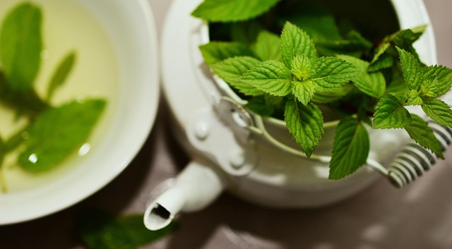 mint julep cups