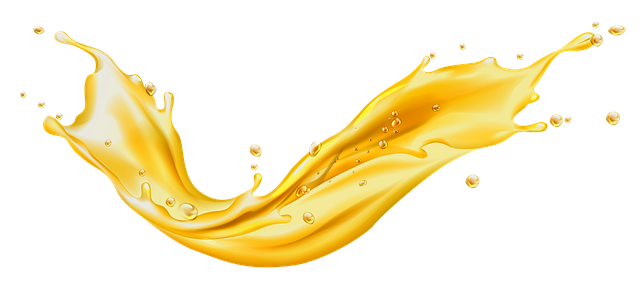 oil dispensing oil sprayers