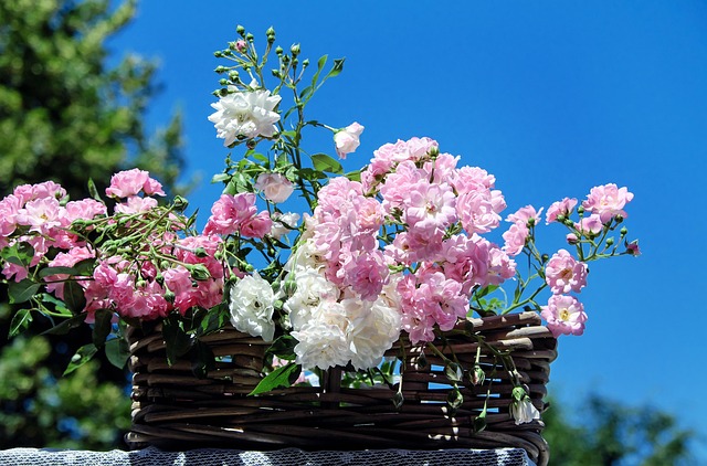 pegboard baskets
