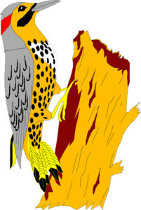 stump-grinding-640x480-18669458.png