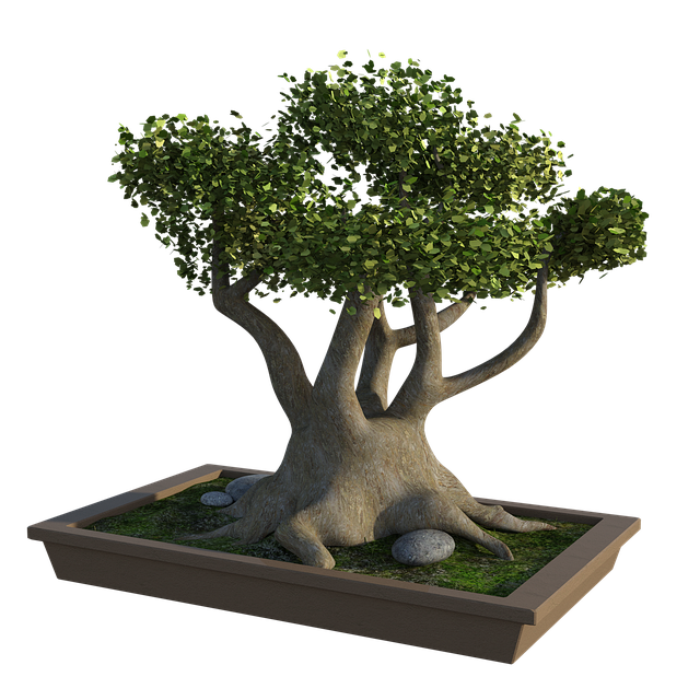 tree trimming