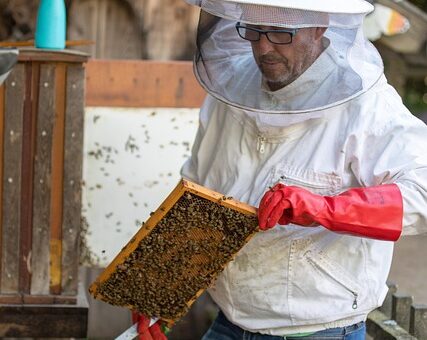 beekeeping-supplies-640x480-10729220.jpeg