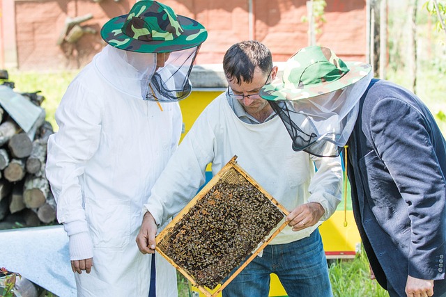 beekeeping supplies
