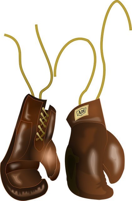 boxing bag gloves