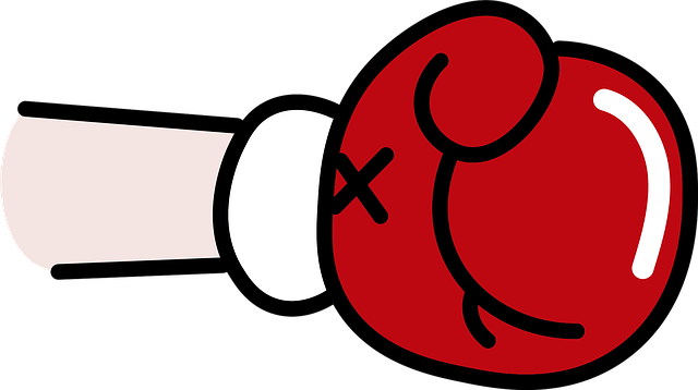 boxing bag gloves