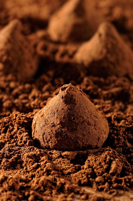 chocolate-molds-640x480-26285223.jpeg