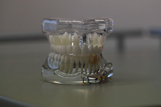 dental burs
