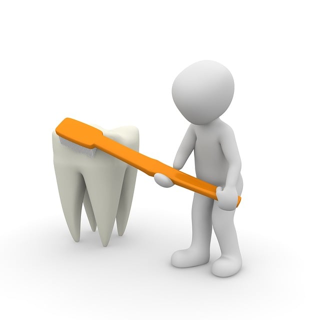 dental burs