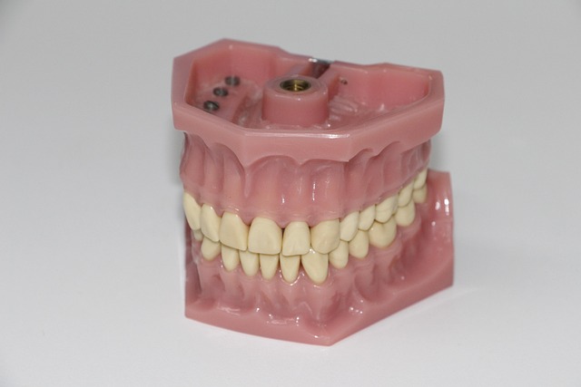 dental burs