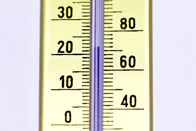 dog thermometers