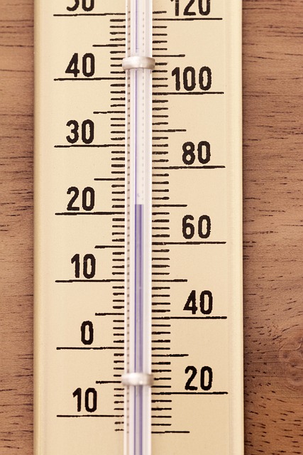 dog thermometers