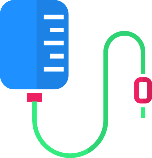 dog thermometers
