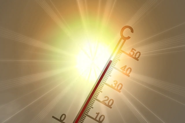 dog thermometers