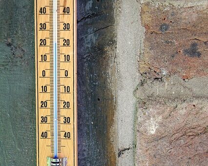 dog-thermometers-640x480-54926025.jpeg