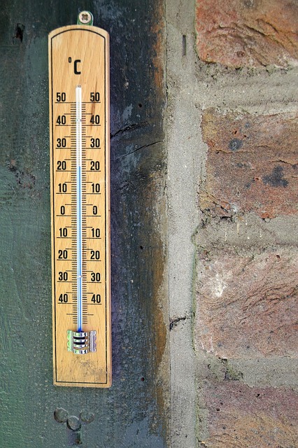 dog-thermometers-640x480-54926025.jpeg