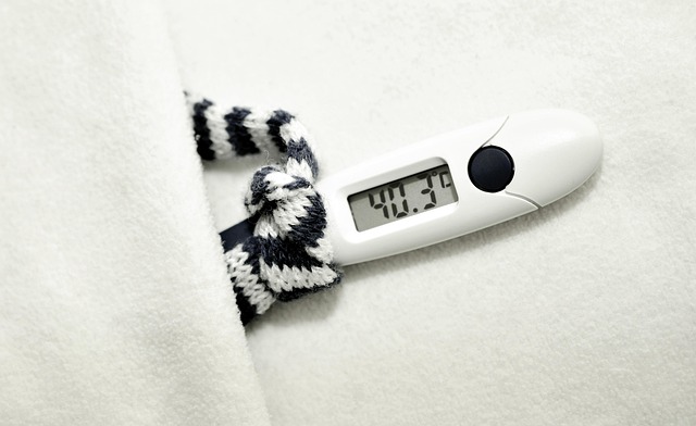 dog thermometers