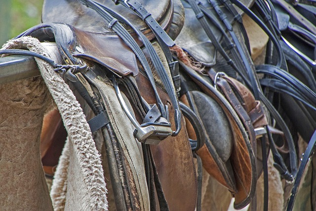 equestrian equipment
