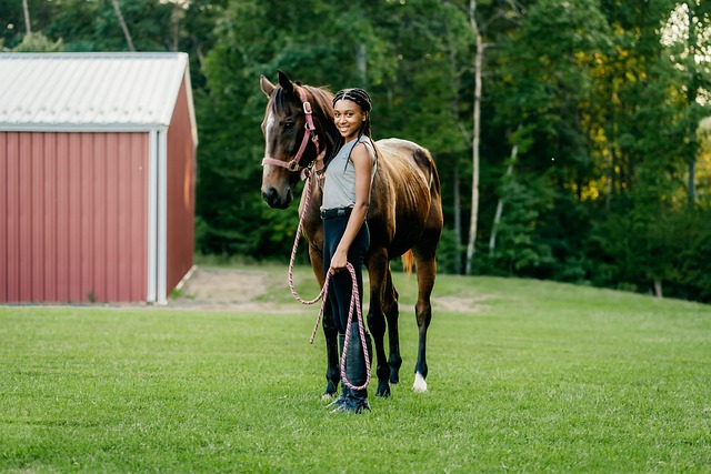 equestrian equipment