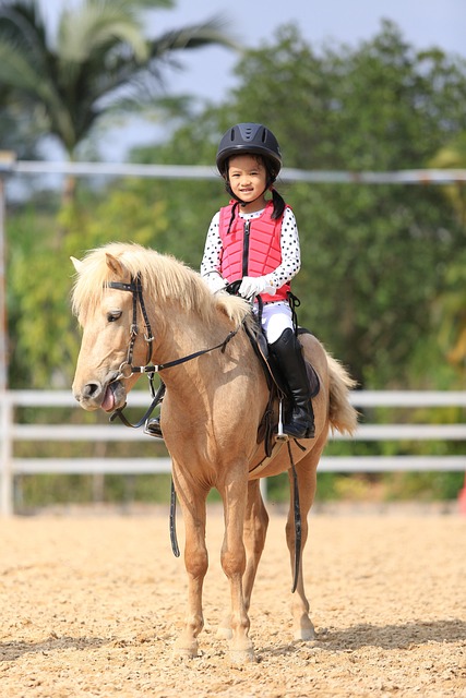 equestrian equipment