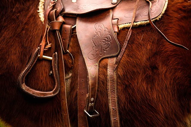 equestrian equipment