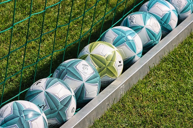 fencing equipment
