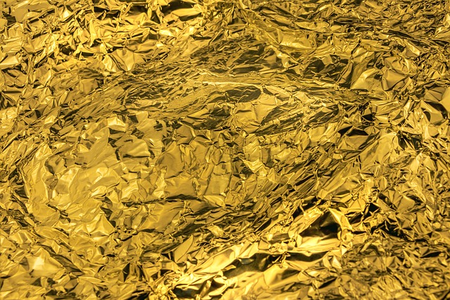 fencing foils