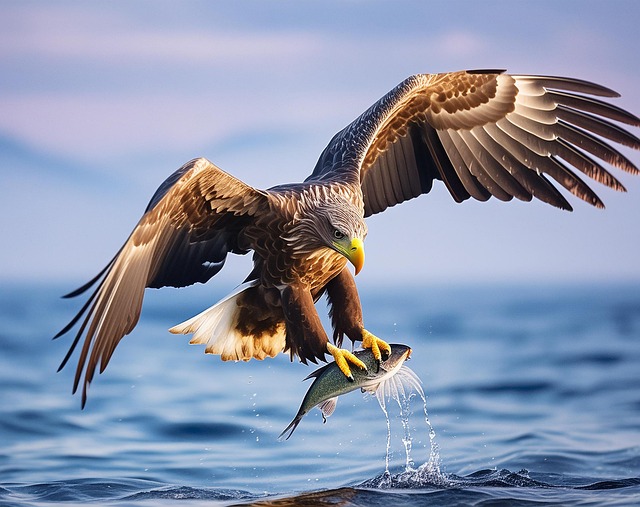 fly fishing flies