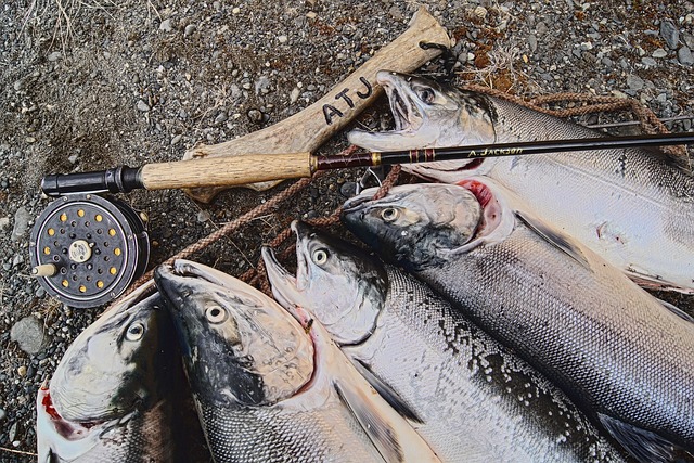 fly fishing flies