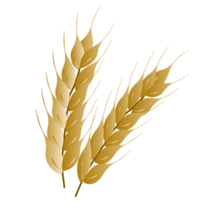 high-fiber-cereals-640x480-1902975.png