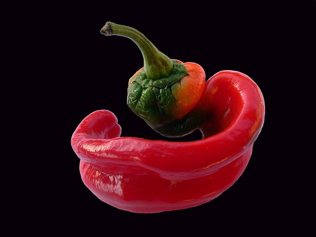 jalapenos peppers