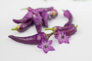 jalapenos-peppers-640x480-20536752.jpeg